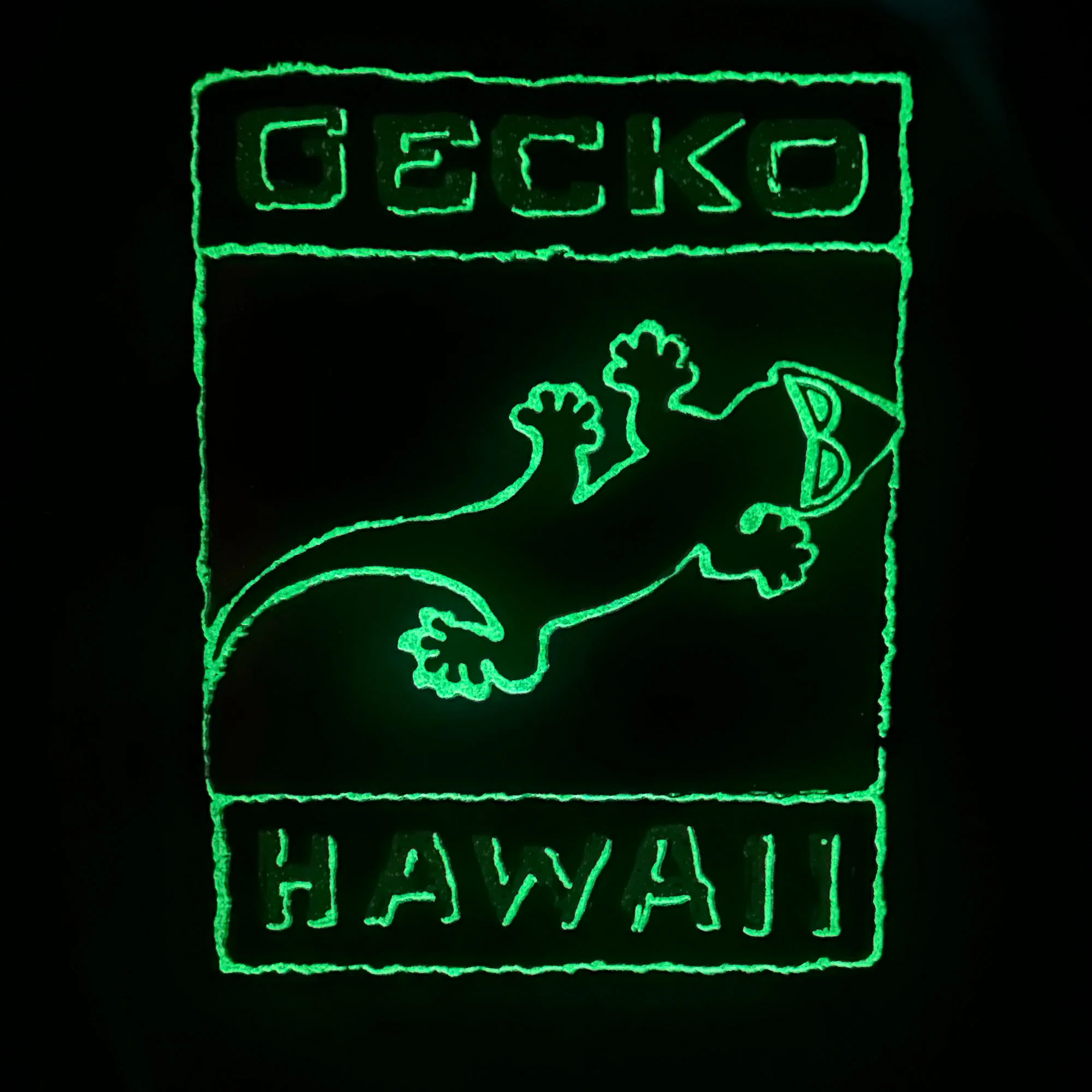 1988 Gecko Blends V2 - Image 3