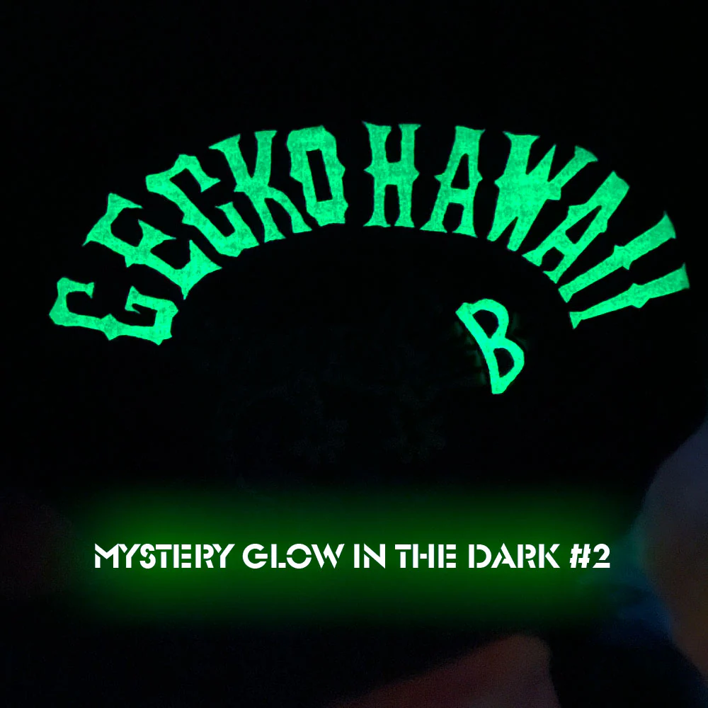 Gecko Ink - Lychee Crush Long Sleeve - Image 5