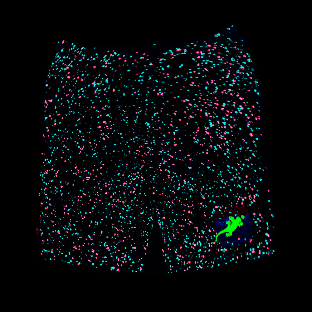 Gecko USA SPLATTER Glow In The Dark Black Shorts - Image 2