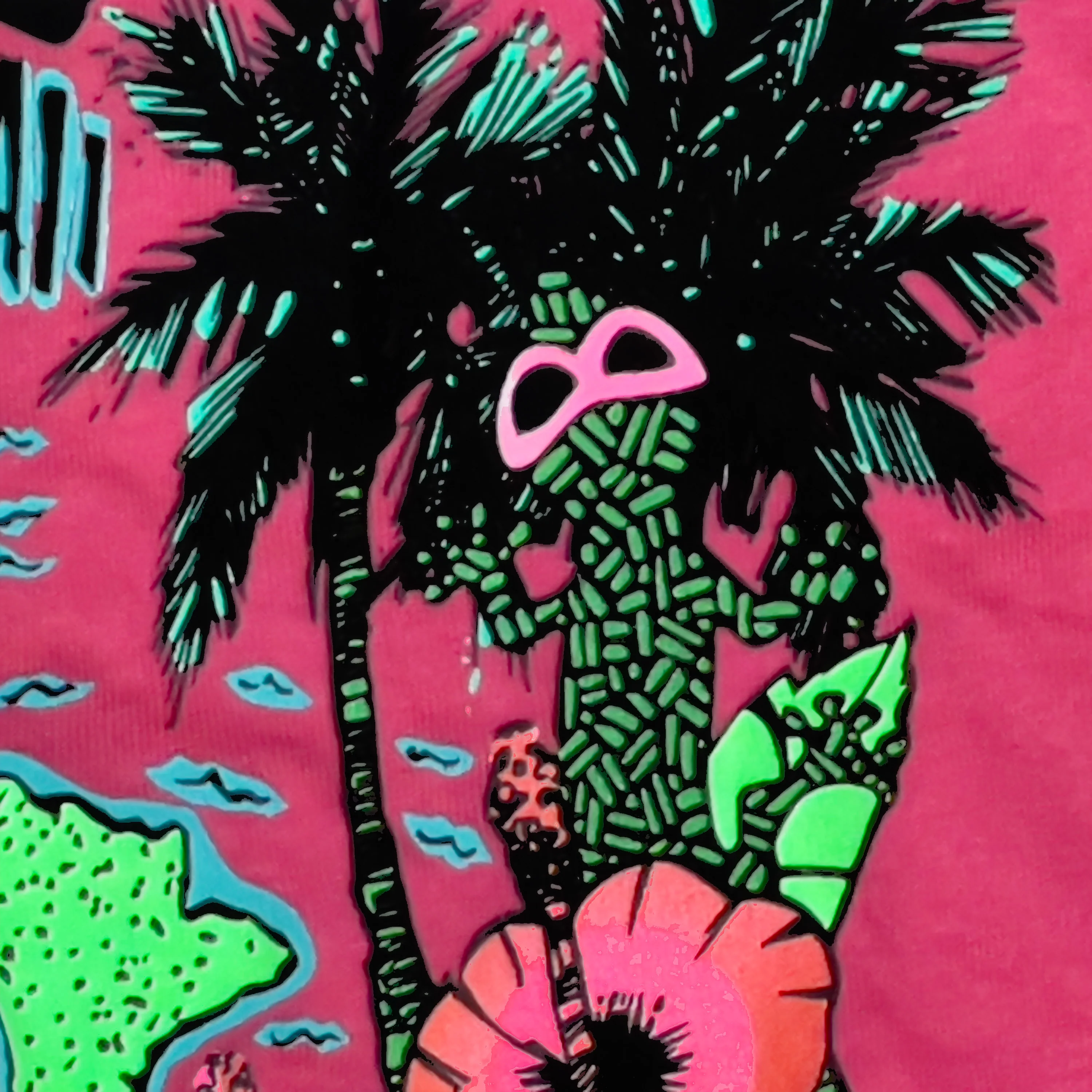 KIDS - 1989 Gecko Hawaiian Islands - Punch - Image 3