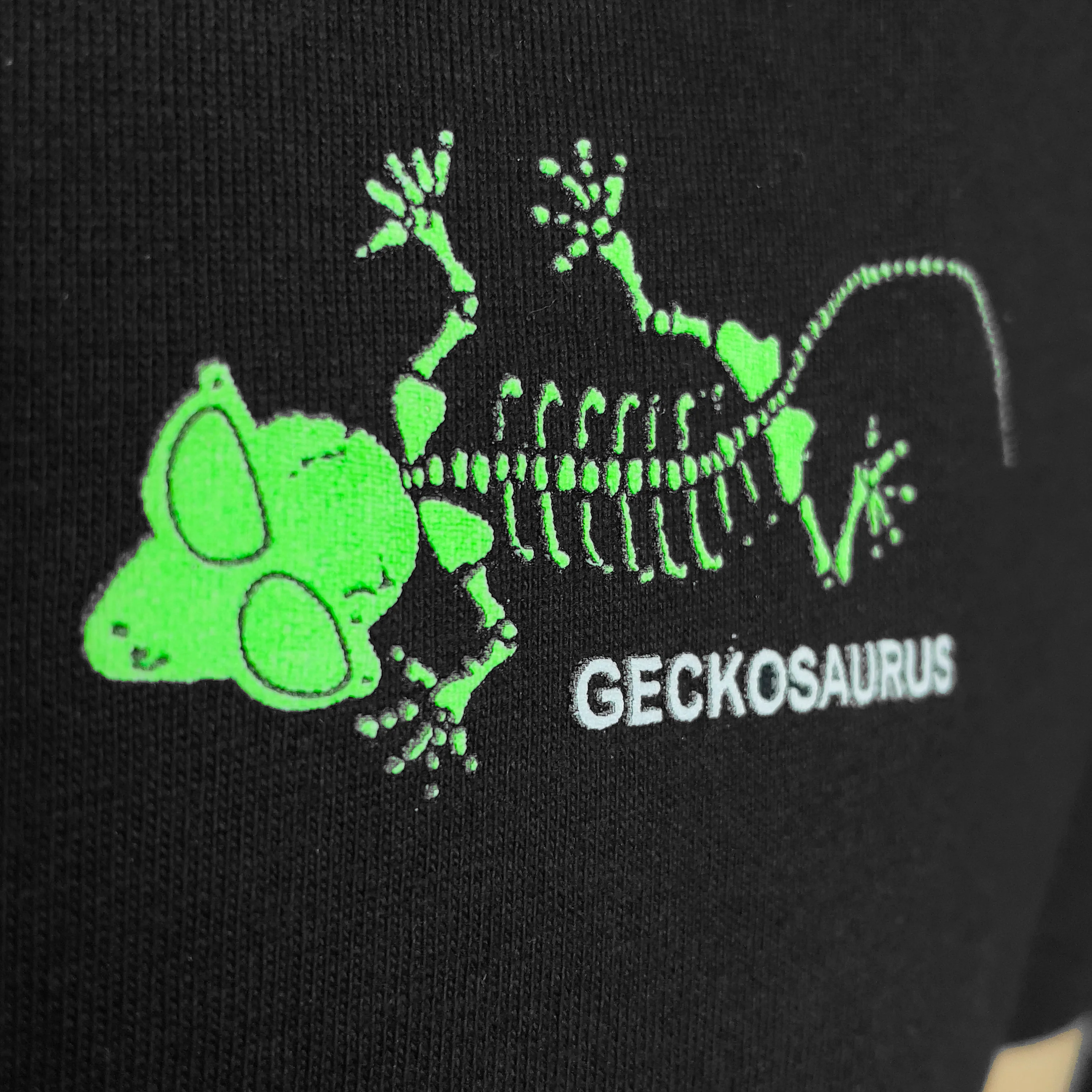 Secret 1993 Dino Pack X Gecko Acid Wash - Image 4